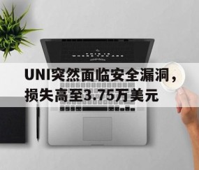 UNI突然面临安全漏洞，损失高至3.75万美元-爱游戏